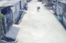 Rekaman CCTV memperlihatkan serangan monyet liar terhadap anak di kawasan Tarumajaya, Kabupaten Bekasi. (Posnews/Ist)

