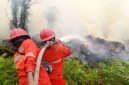 Petugas gabungan memadamkan kebakaran hutan dan lahan di tengah upaya BNPB menangani karhutla di sejumlah provinsi.

