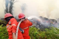 Petugas gabungan memadamkan kebakaran hutan dan lahan di tengah upaya BNPB menangani karhutla di sejumlah provinsi.