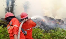 Api Masih Mengintai di Lahan Gambut, 17.942 Hektare Karhutla Belum Padam