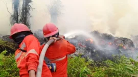 Petugas gabungan memadamkan kebakaran hutan dan lahan di tengah upaya BNPB menangani karhutla di sejumlah provinsi.
