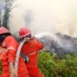 Petugas gabungan memadamkan kebakaran hutan dan lahan di tengah upaya BNPB menangani karhutla di sejumlah provinsi.
