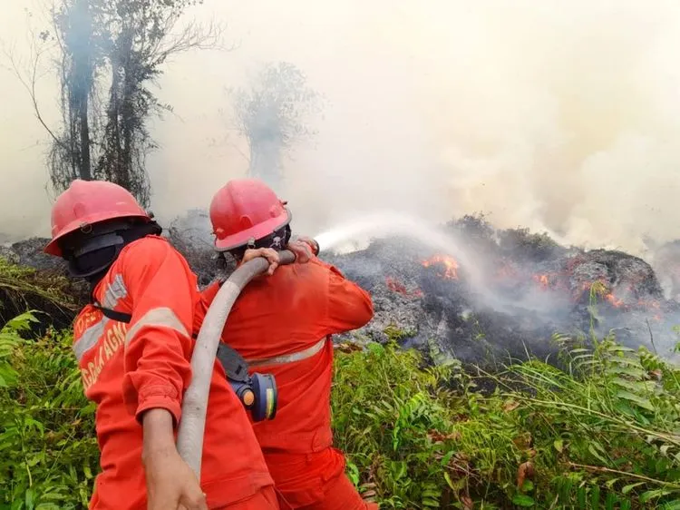 Petugas gabungan memadamkan kebakaran hutan dan lahan di tengah upaya BNPB menangani karhutla di sejumlah provinsi.
