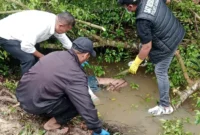 Petugas kepolisian melakukan penanganan tempat kejadian perkara penemuan jasad Muhammad Imran di parit perkebunan sawit di Dadimulyo, Asahan. (Posnews/Ist)