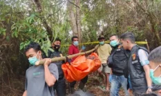 Hilang 13 Hari, AJN Ditemukan Tewas di Kebun Warga Tapsel, Polisi Dalami Penyebabnya