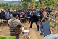 Polisi menangani tempat kejadian perkara penemuan lansia yang tewas di kebun Desa Pengarasan, Bantarkawung, Kabupaten Brebes. (Posnews/Ist)
