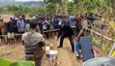 Polisi menangani tempat kejadian perkara penemuan lansia yang tewas di kebun Desa Pengarasan, Bantarkawung, Kabupaten Brebes. (Posnews/Ist)