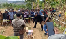 Terungkap dari Pengakuan ke Kepala Desa, Lansia 83 Tahun Tewas di Kebun Brebes