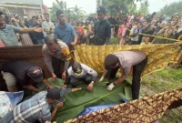 Polisi olah TKP kasus dugaan pembunuhan Deni Nurdiansyah di Desa Kampung Baru, Kecamatan Ukui, Pelalawan.

