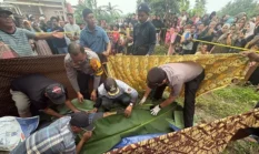 Sengketa Tanah Warisan Berujung Maut di Pelalawan, Polisi Ciduk Adik Korban